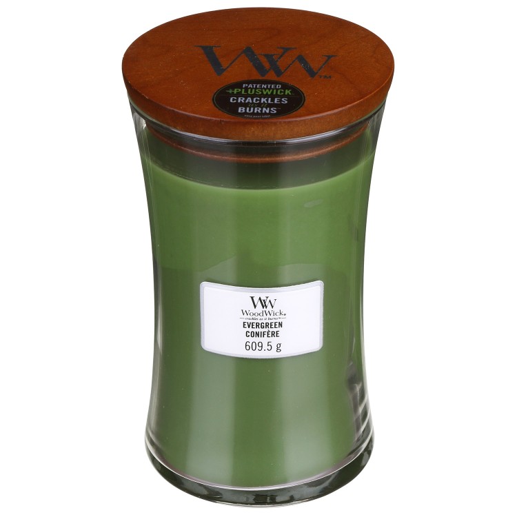 Категория Вечнозеленые леса