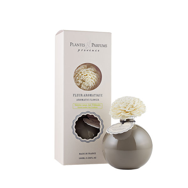 Категория В тени липы