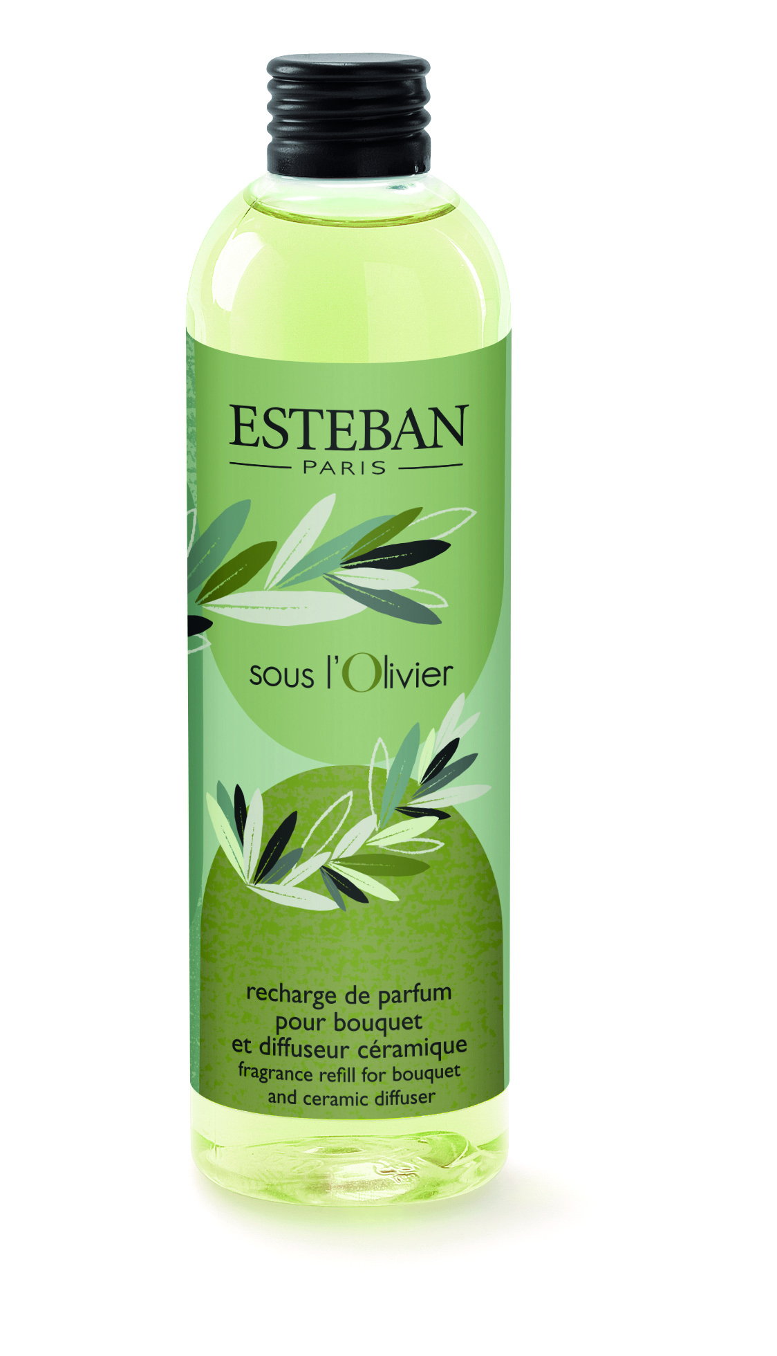 Категория В ТЕНИ ОЛИВЫ