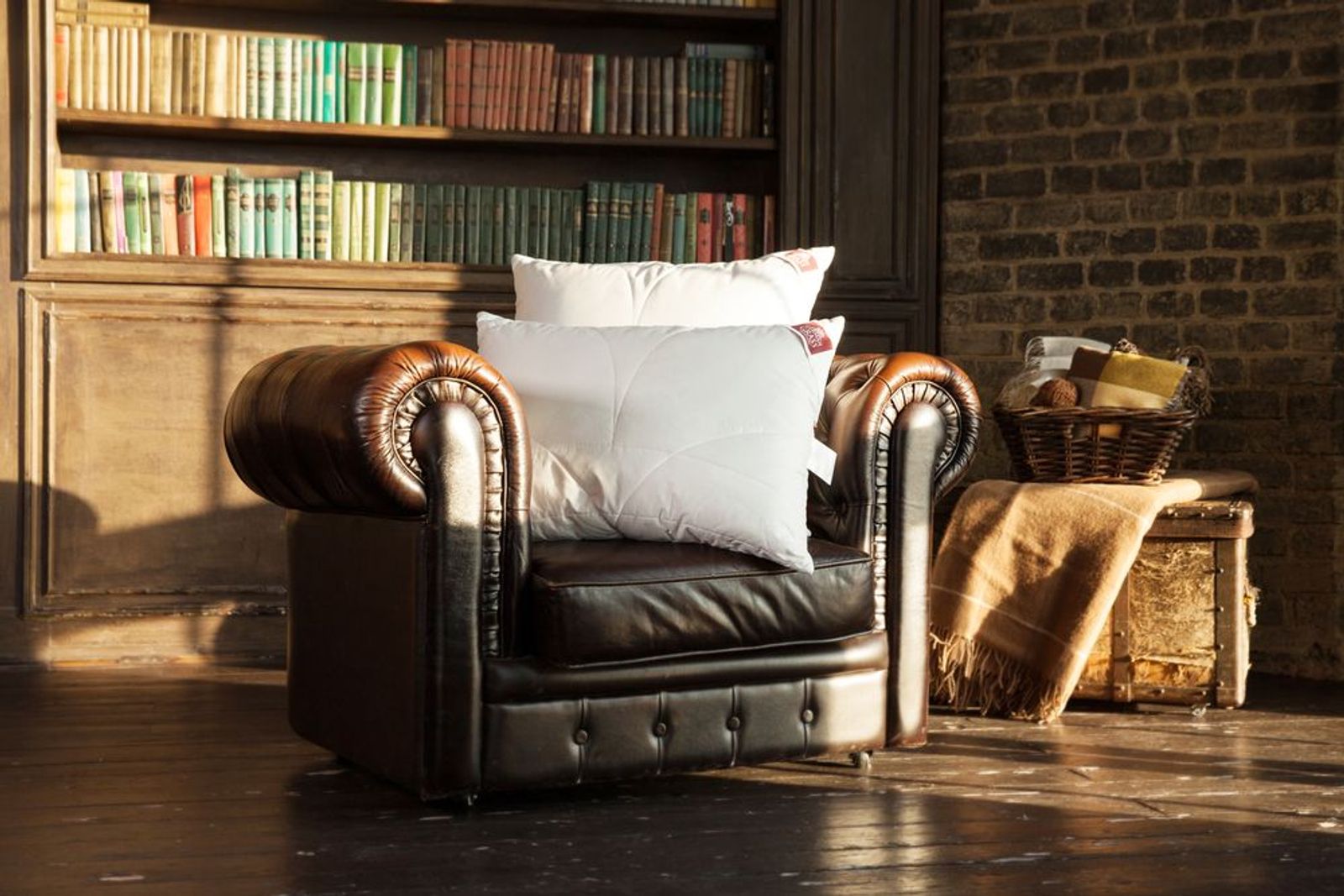 Подушка CAMEL WOOL GRASS регулируемая 50x68