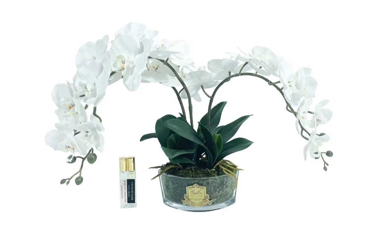 OVAL Orchid - whiteБукет белые орхидеи, 2 спрея по 10 мл
