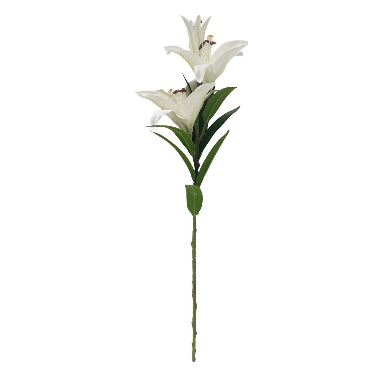 Loose Magnolias whiteВетка с цветами магнолии, белый