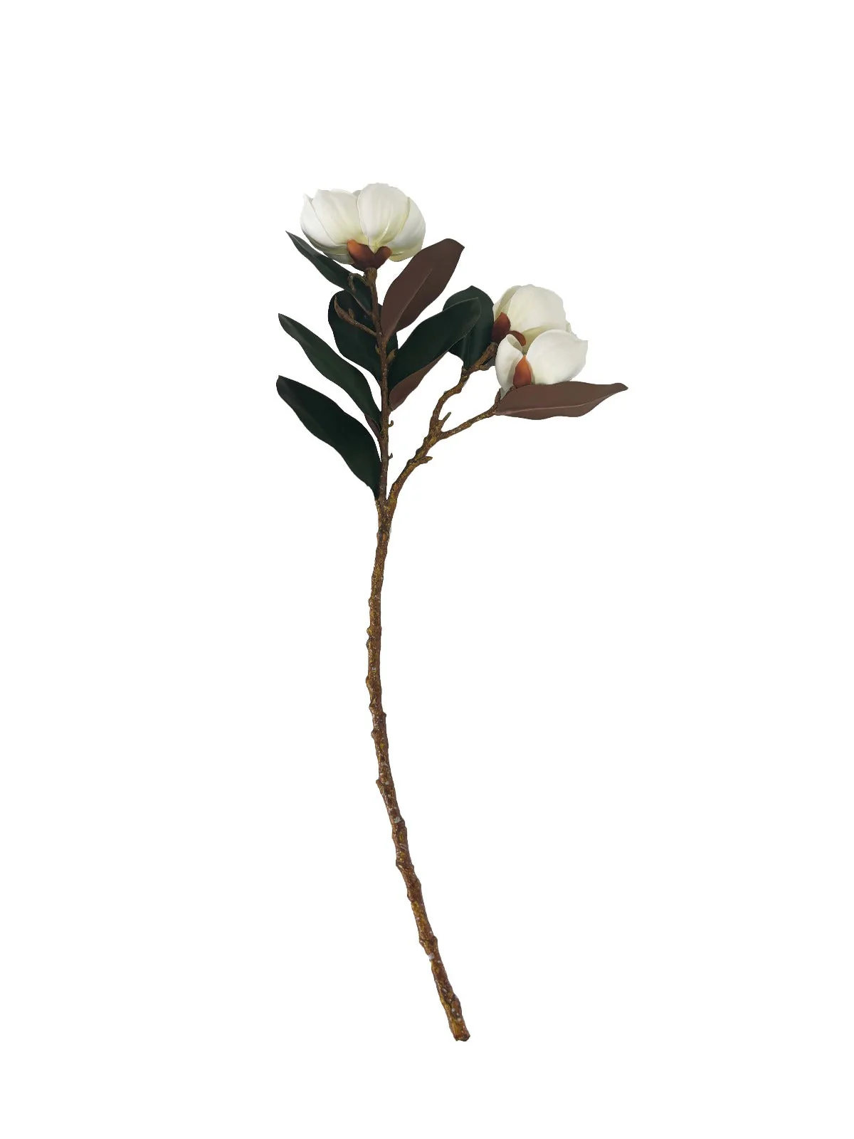 Loose Magnolias whiteВетка с цветами магнолии, белый