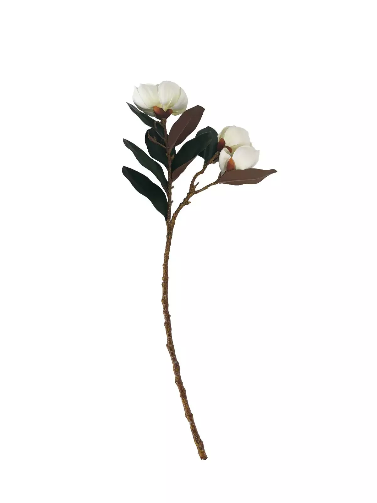 Loose Magnolias whiteВетка с цветами магнолии, белый