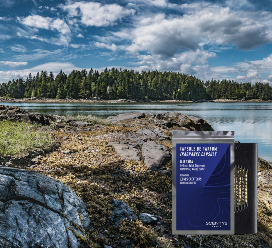 BLUE TAIGA Ароматическая капсула вид 2