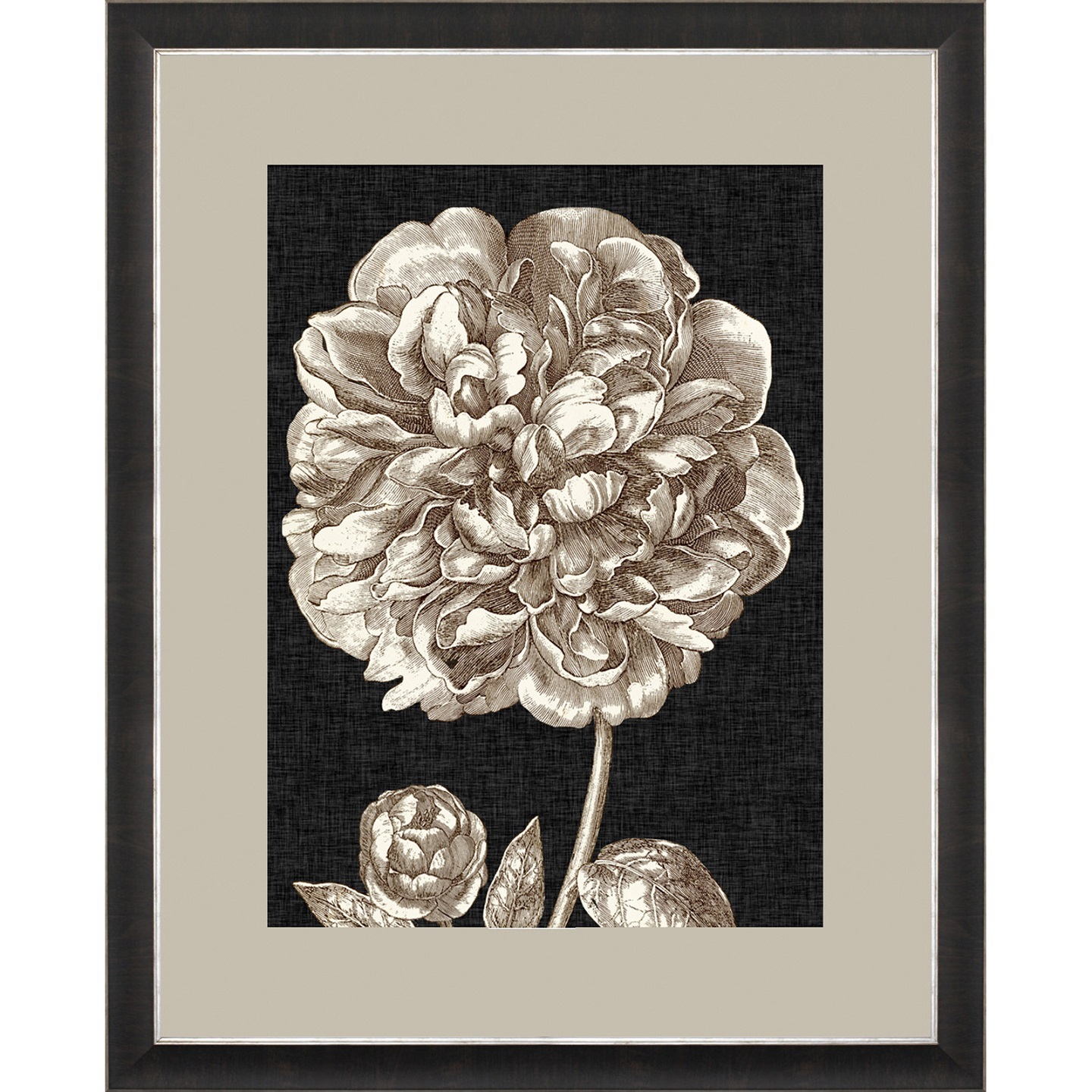 DRAMATIC PEONYПостер 65х85 - основное изображение